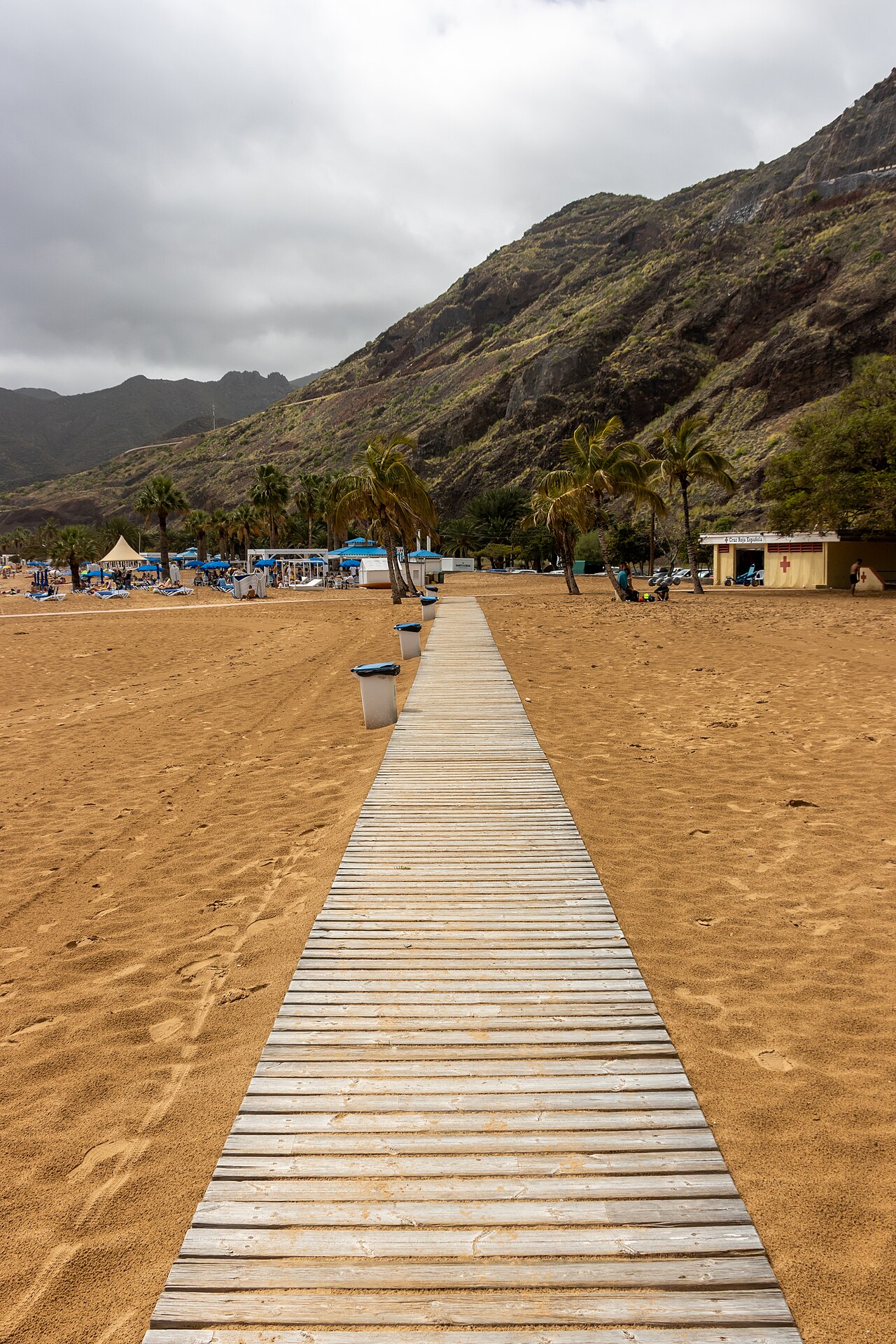 Golden sand and palm trees at Playa de Las Teresitas, Tenerife